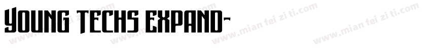 Young Techs Expand字体转换